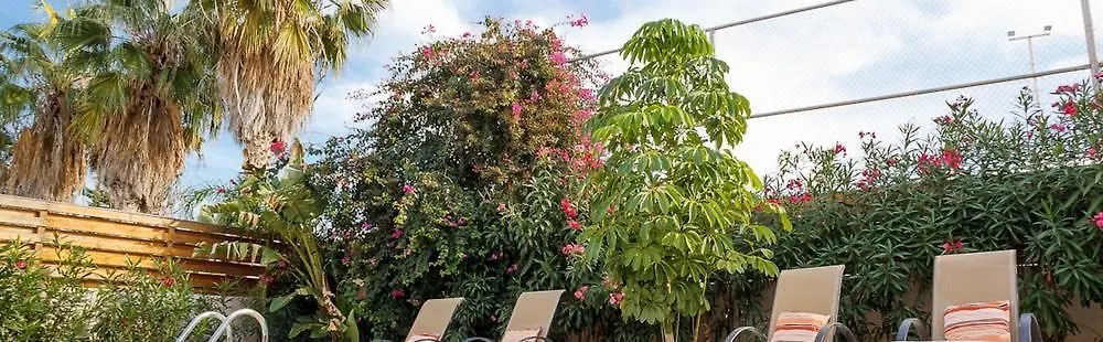 Rent Private Villa 061 Agia Napa